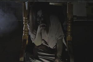 Фотография перформанса Бойся темноты от компании Horror 21 (Фото 1)