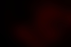 Фотография перформанса Исчезнувшая от компании Horror 21 (Фото 2)