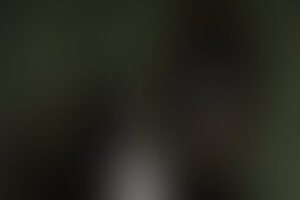 Фотография квеста Пастор по вызову от компании Дом страха 13 (Фото 1)